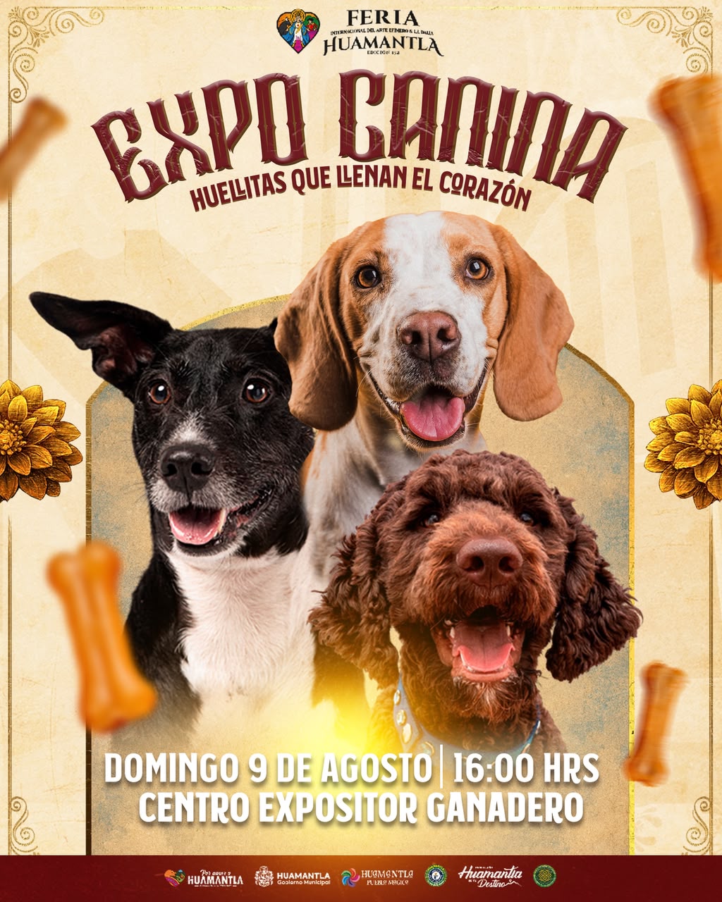 Expo Canina ‘Huellitas que Llenan el Corazón’ llegará a la Feria de Huamantla 2026
